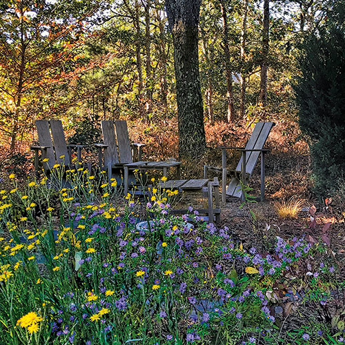 forest garden