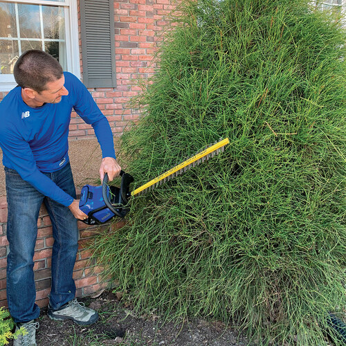 garden tasks for early spring