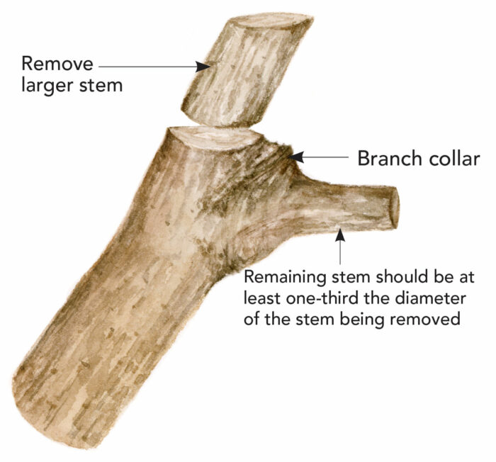 reduction cut diagram