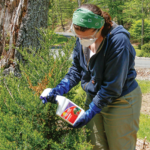 plant-disease management