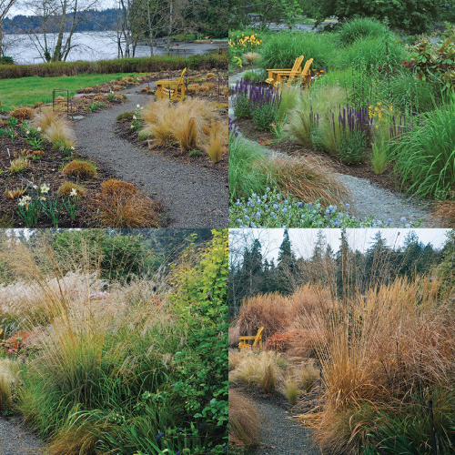 four-season garden with ornamental grass