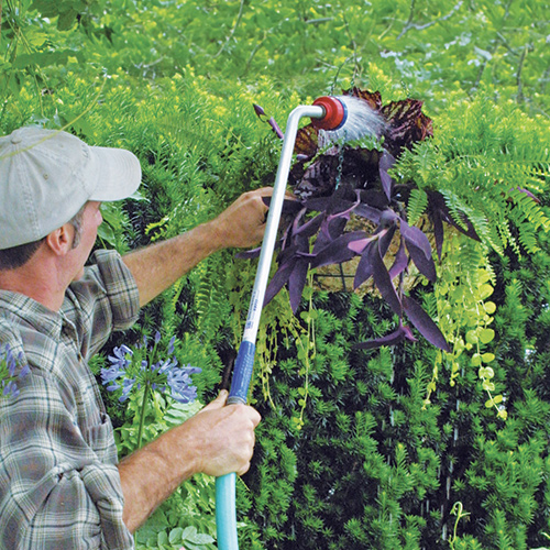 caring for plants in extreme heat