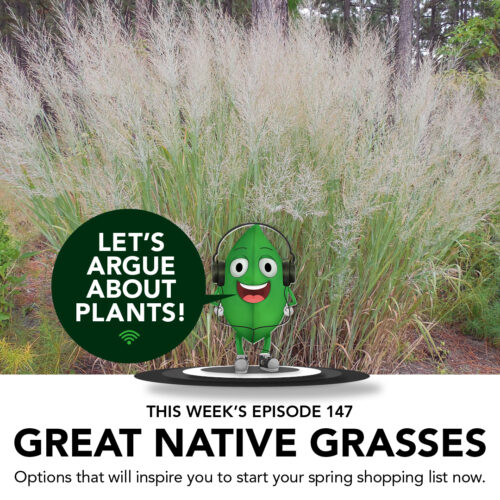 Episode 147: Great Native Grasses