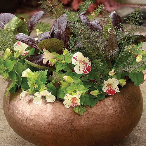 spring container design