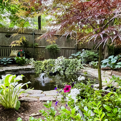 small garden pond with fountain