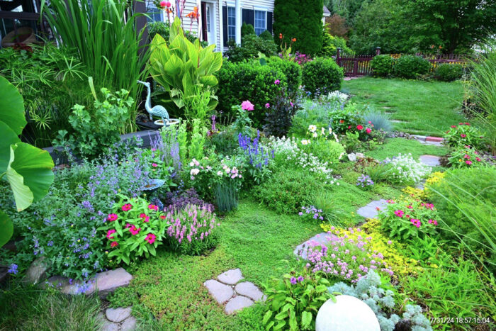 low maintenance garden with lots of perennials and ground covers