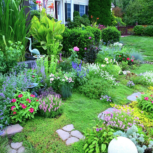 low maintenance garden with lots of perennials and ground covers