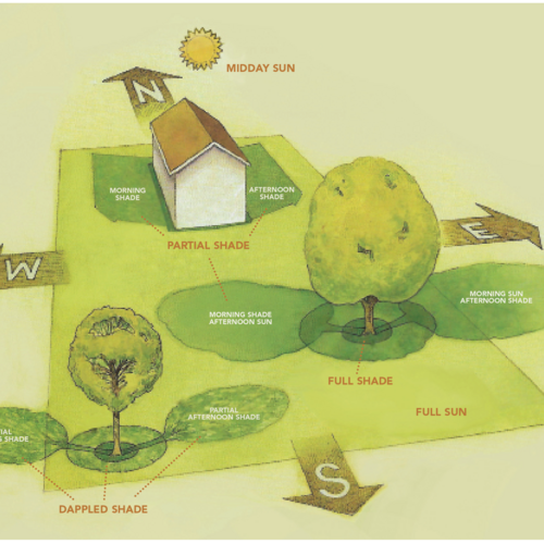 how to tell if your garden gets shade or sun